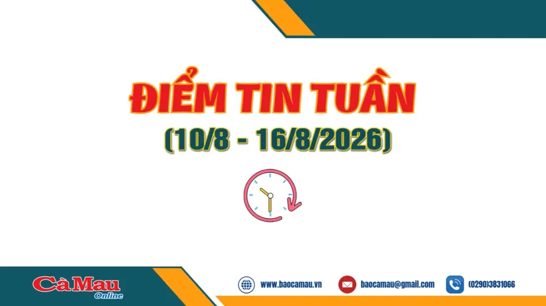 Điểm tin tuần từ ngày 10/8 - 16/8/2026