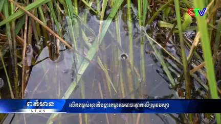 Chương trình tiếng Khmer 18/8/2026