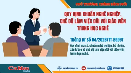 Quy định chuẩn nghề nghiệp, chế độ làm việc đối với giáo viên trung học nghề