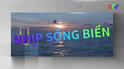 Nhịp sống biển 27/8/2026: Giúp ngư dân an toàn khi khai thác