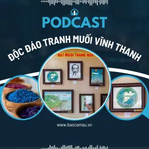 Độc đáo tranh muối Vĩnh Thanh