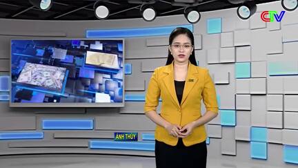 Bản tin thị trường 02/9/2026