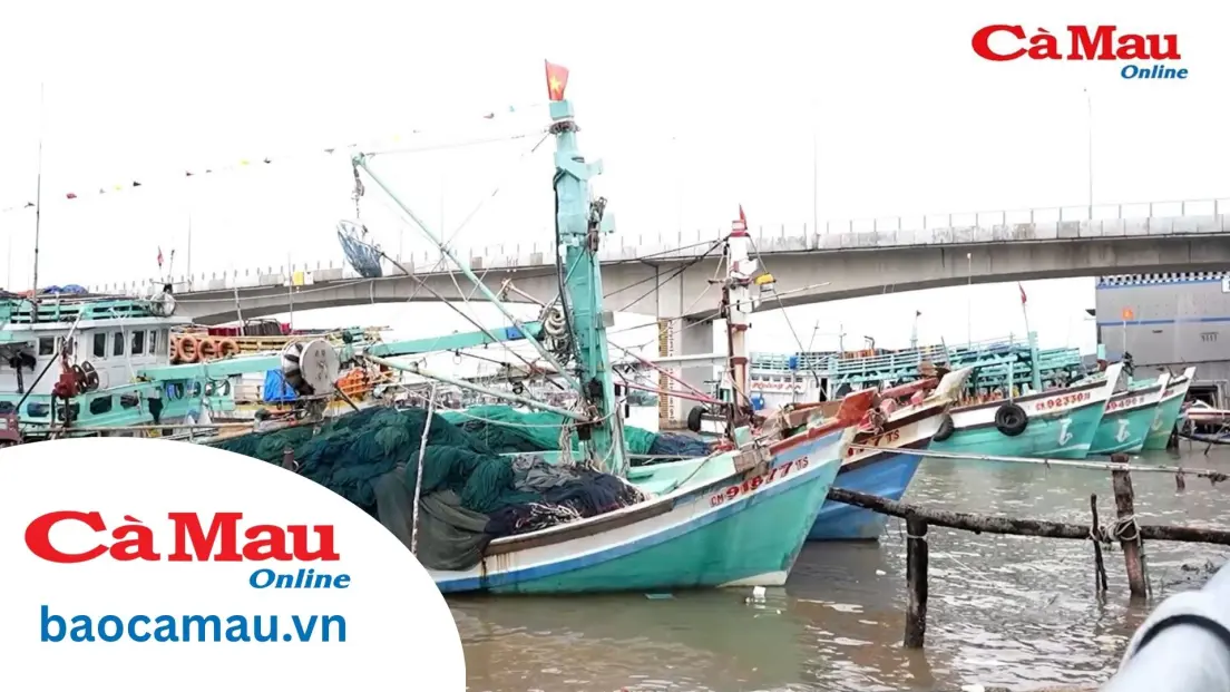Chủ động đảm bảo an toàn cho từng chuyến tàu ra khơi