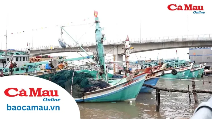 Chủ động đảm bảo an toàn cho từng chuyến tàu ra khơi