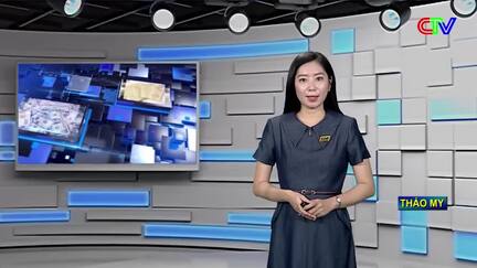 Bản tin thị trường 06/9/2026