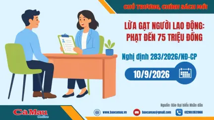 Lừa gạt người lao động: Phạt đến 75 triệu đồng