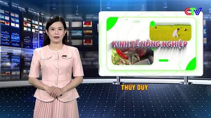 Kinh tế Nông nghiệp 12/9/2026: Bức tranh tổng thể trong thực hiện chỉ thị 01