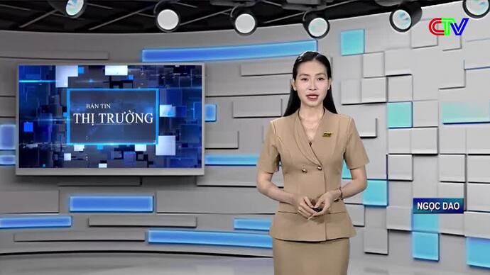 Bản tin thị trường 12/9/2026