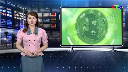 Môi trường 15/9/2026: Cải tạo ao đầm phải đảm bảo môi trường