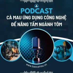 Cà Mau ứng dụng công nghệ để nâng tầm ngành tôm