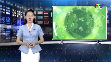 Môi trường 29/9/2026: Ô nhiễm rác thải ảnh hưởng đến sản xuất
