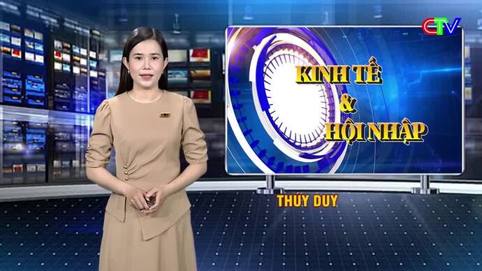 Kinh tế và Hội nhập 30/9/2026: Từ hộ kinh doanh đến doanh nghiệp - Bước chuyển để vươn xa