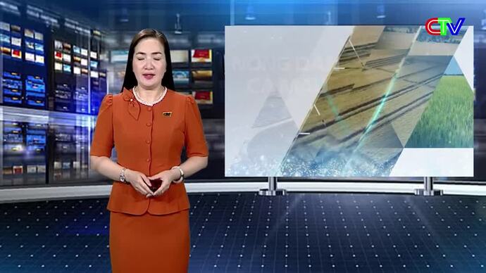 Nông dân Cà Mau trên đường hội nhập 04/10/2026: Nông dân Cà Mau đổi mới tư duy - Liên kết làm giàu