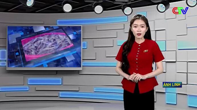 Bản tin thị trường 11/10/2026