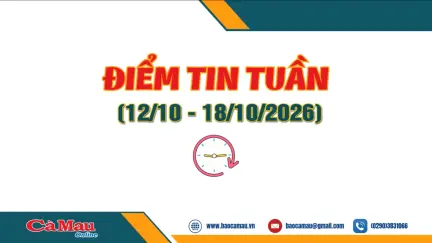 Điểm tin tuần từ ngày 12/10 - 18/10/2026