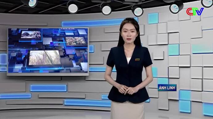 Bản tin thị trường 18/10/2026