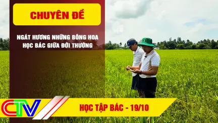 Học tập, thực hành tư tưởng, đạo đức, phương pháp, phong cách Hồ Chí Minh 19/10/2026: Ngát hương những bông hoa học Bác giữa đời thường