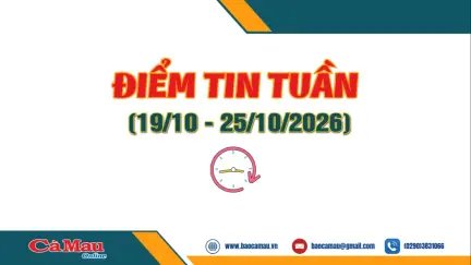 Điểm tin tuần từ ngày 19/10 - 25/10/2026