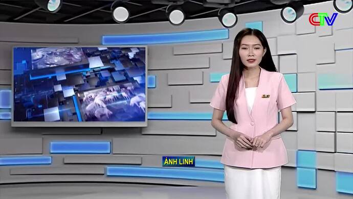 Bản tin thị trường 25/10/2026