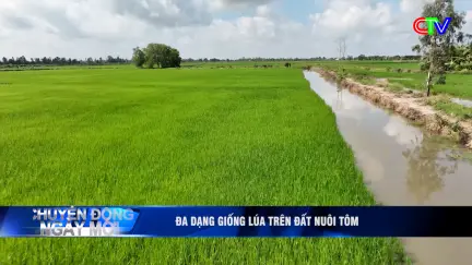 Chuyển động ngày mới 28/10/2026