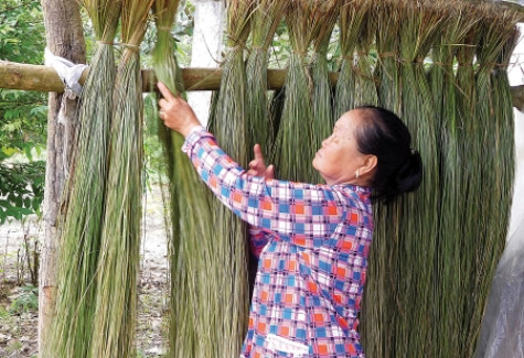 Buồn vui nghề chiếu