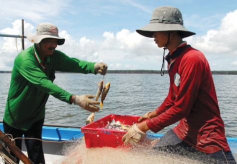 Khắc khoải Giá Lồng Ðèn