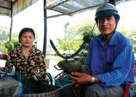 Đồng Sậy ngày mới