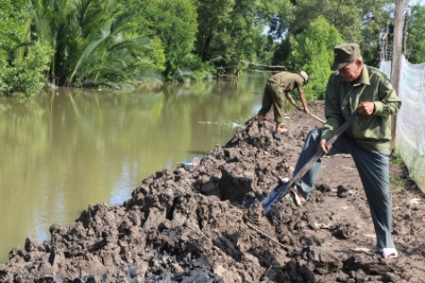 Cựu chiến binh xã Định Bình gương mẫu trong các phong trào thi đua