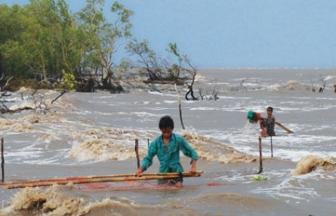 Phát triển rừng phòng hộ ứng phó với biến đổi khí hậu