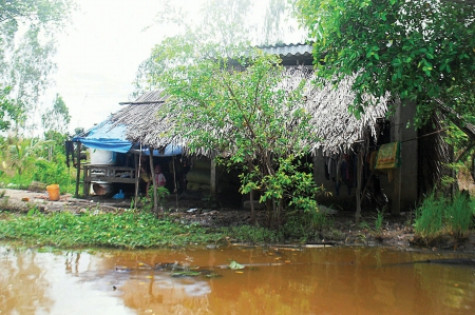 Loay hoay với cái nghèo