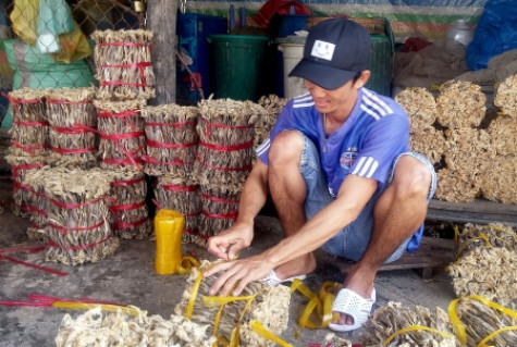 Làng nghề khô cá biển Rạch Gốc vào mùa Tết