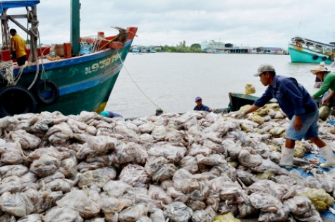 Niềm vui chuyến biển cuối năm