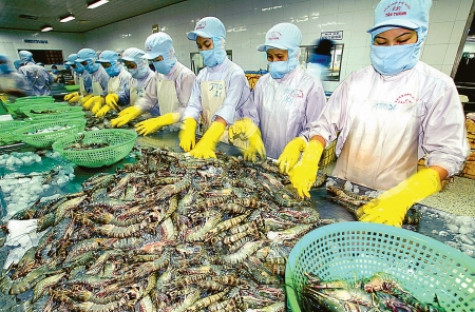 Dấu ấn những chặng đường phát triển