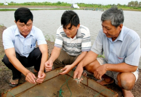 Tạo đột phá cho nông sản chủ lực