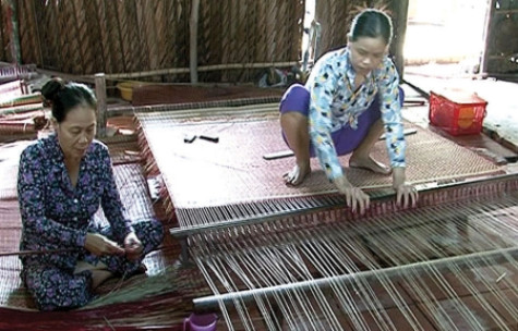 Làng chiếu Tân Thành vào xuân