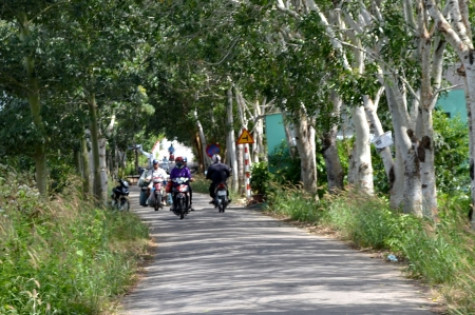 Sức sống trên những con đường mới
