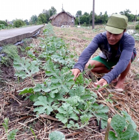 Thoát nghèo từ đa canh