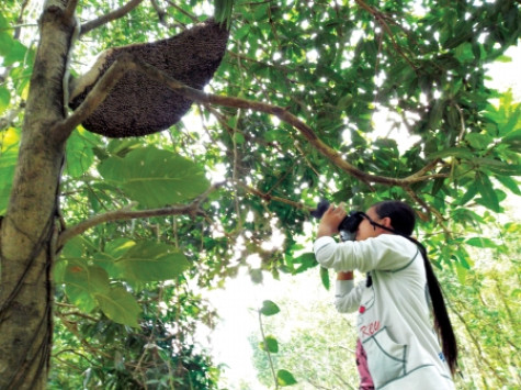 Dân xứ rừng làm du lịch