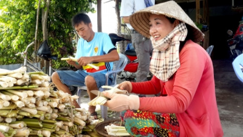 Xây dựng thương hiệu bồn bồn