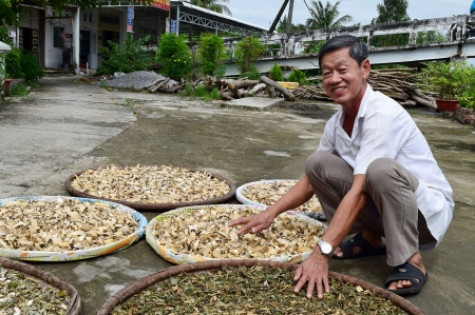 Lương y Nguyễn Văn Ðấu tận tuỵ với nghề