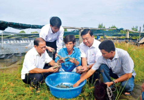 Đa dạng cách làm giàu