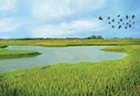 Mùa xuân chim én lại về