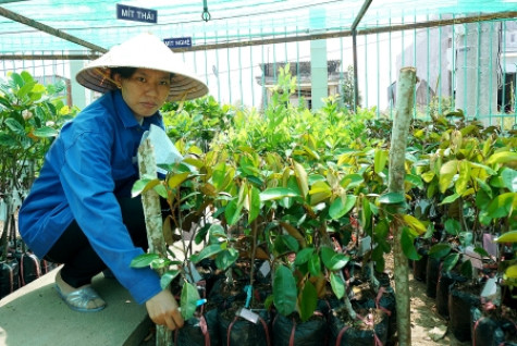 Chung sức xây dựng làng quê