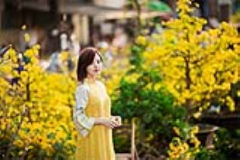 Tết Đinh Dậu: Miền Bắc rét, miền Nam nóng