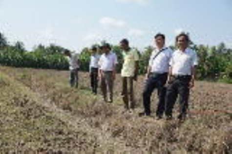 Đau đầu vụ lúa, đậu đông xuân