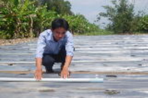 Tưới nhỏ giọt - tiết kiệm chi phí, tăng năng suất