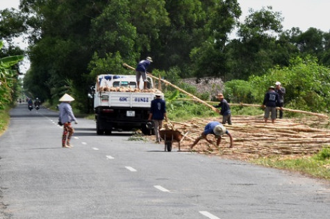 Bất ổn trật tự giao thông