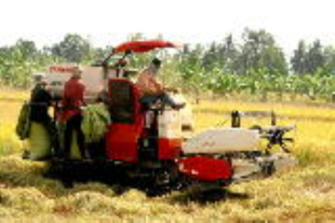 Chủ động khai thác các nguồn thu ngân sách