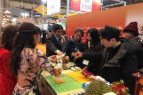 Thanh long ruột đỏ hút hàng tại Nhật