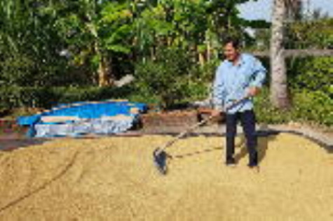 Phấn đấu nâng cao thu nhập đầu người
